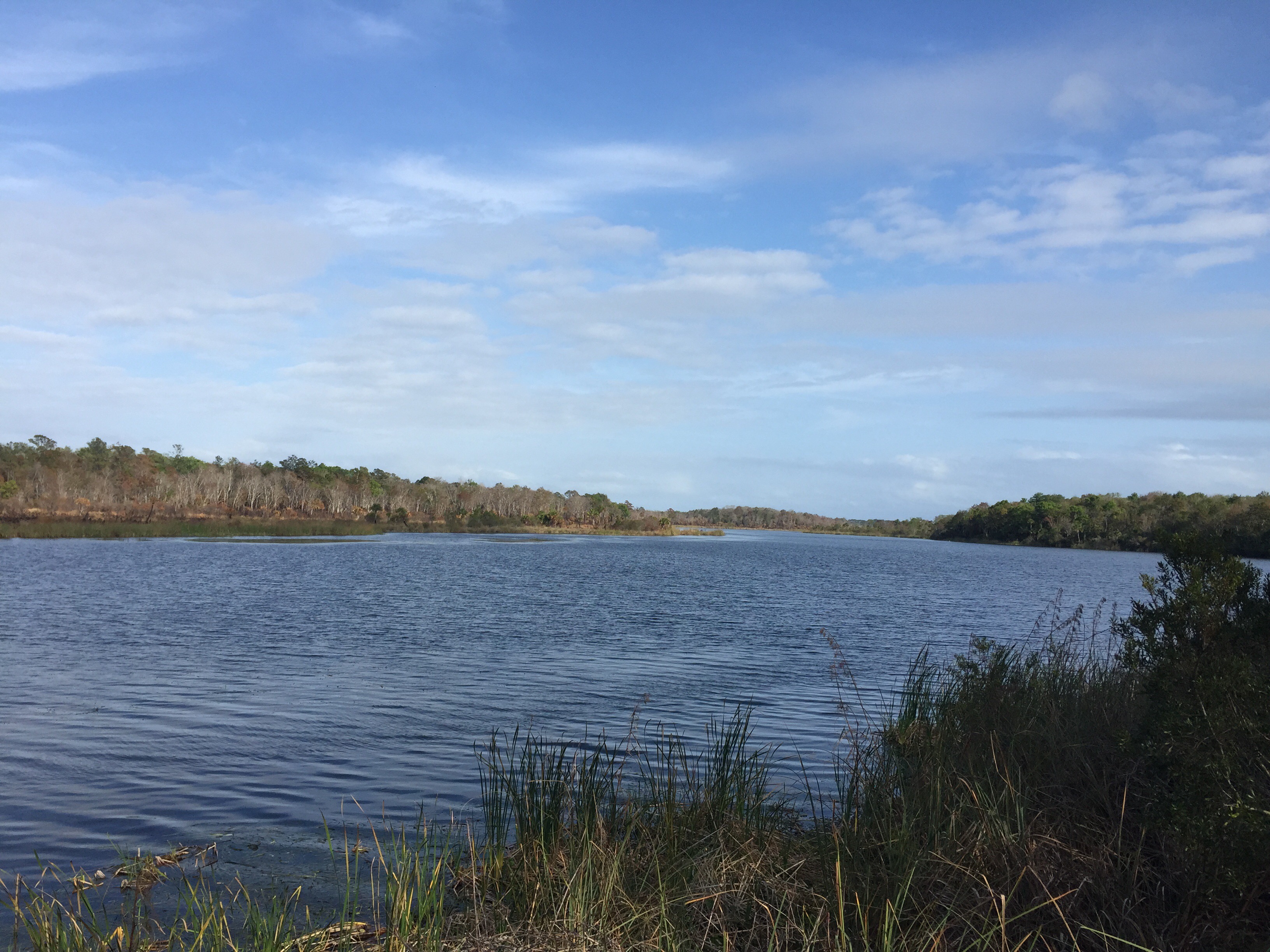 saint johns river - Indefinite Travel