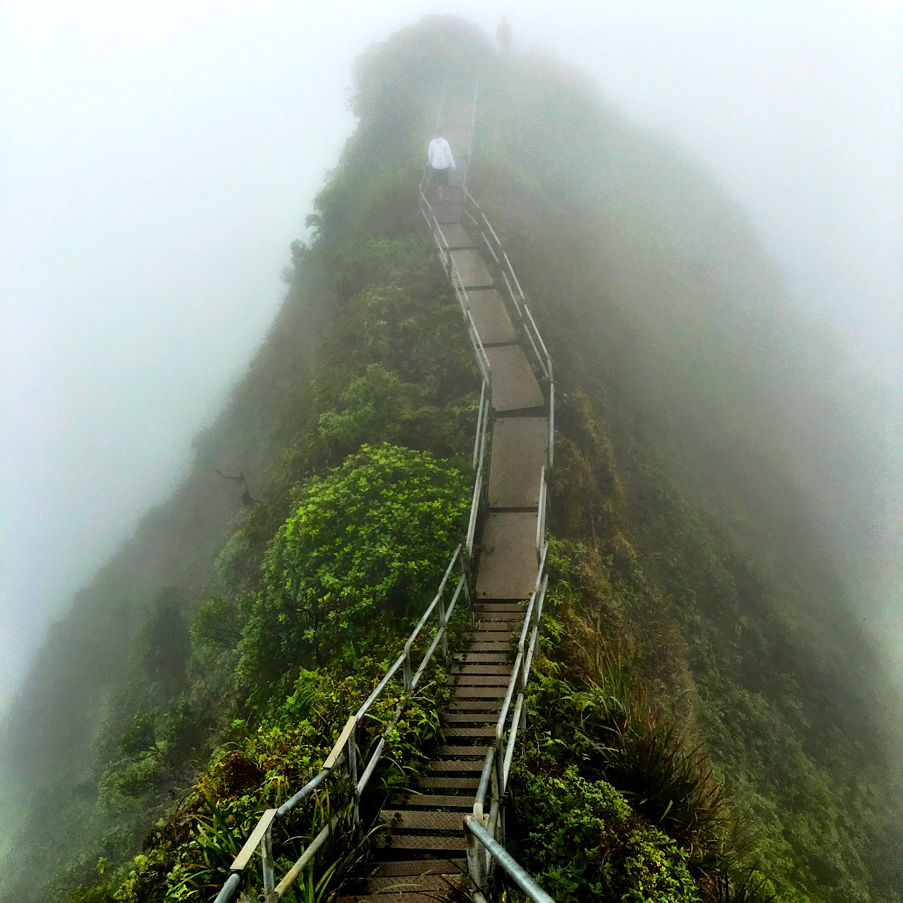 Лестница хайку Haiku Stairs Гавайи